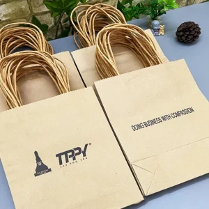 in túi giấy đựng quà tết
