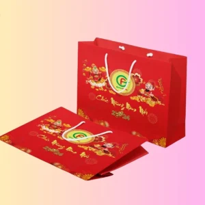 In túi giấy đựng quà tết