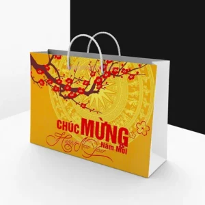 In túi giấy đựng quà tết