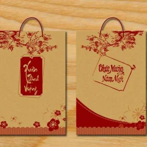 In túi giấy đựng quà tết