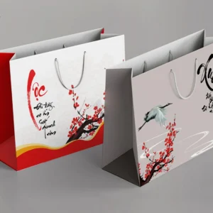 in túi giấy đựng quà tết