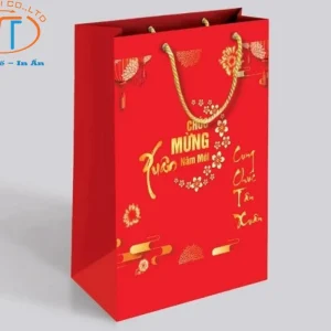 Mẫu túi giấy đựng quà tết