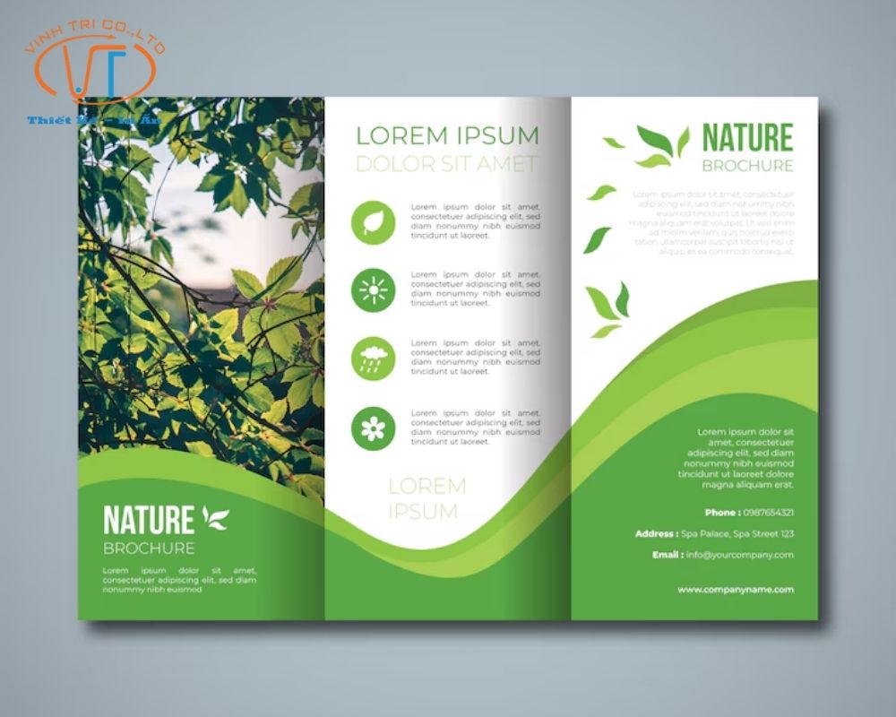 Brochure Là Gì