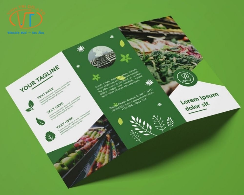 Brochure Tri - Flold