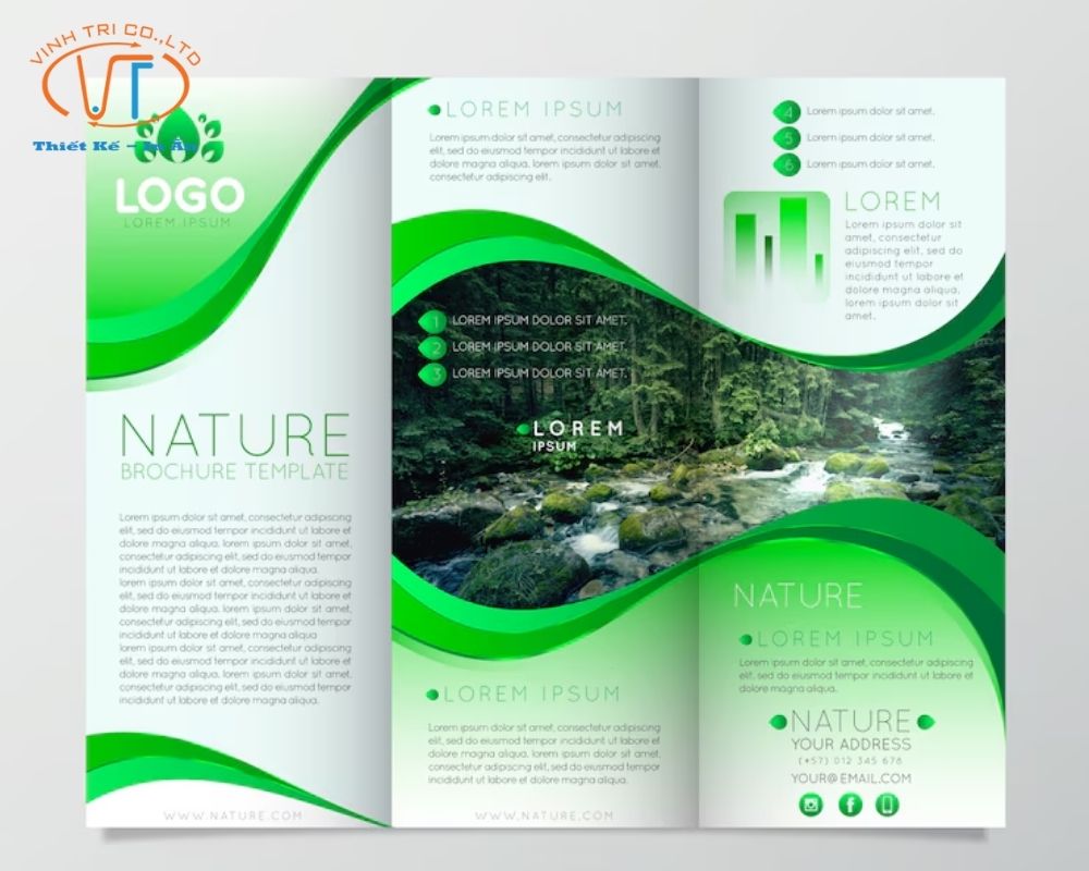 Mẫu brochure đẹp, ấn tượng