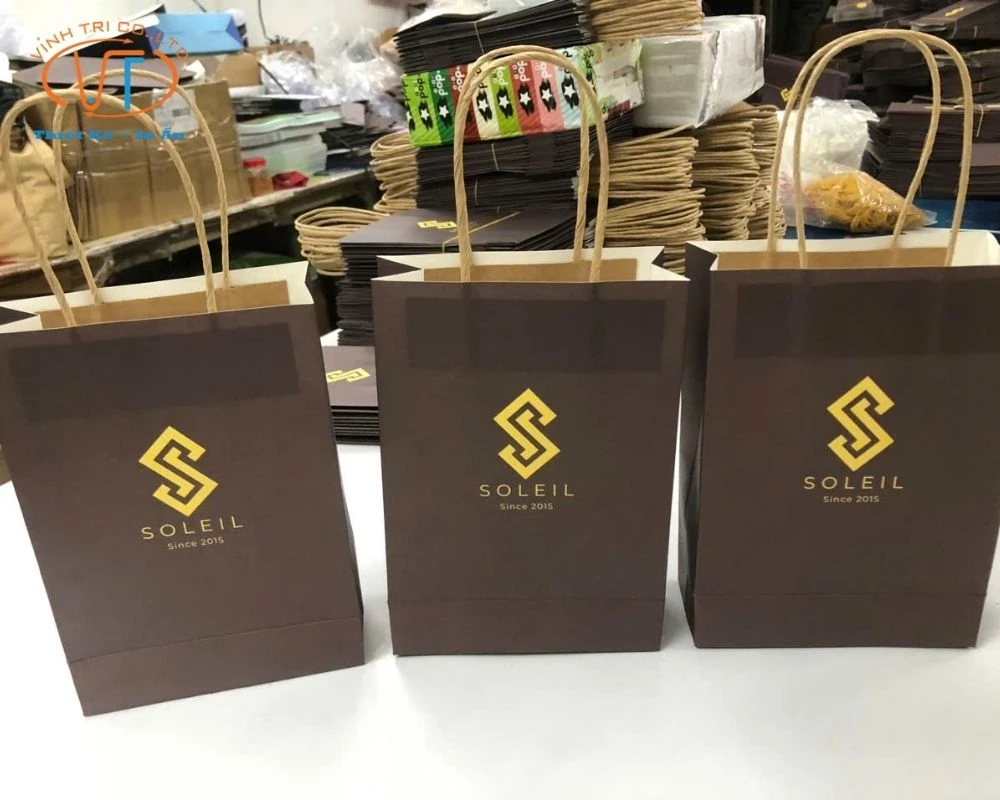 50+ Mẫu Túi Giấy In Logo Đẹp, Độc Đáo