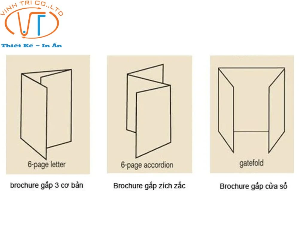 Brochure gấp 3 có nhiều loại nên kích thước của nó cũng không có sự giới hạn