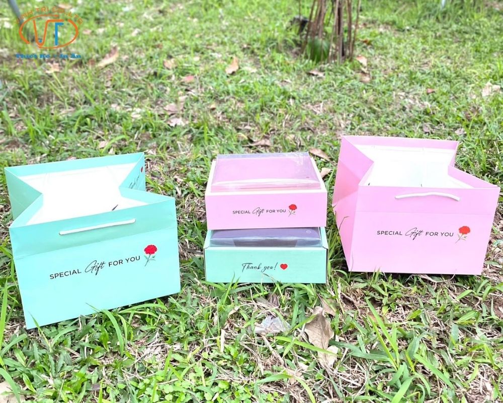 Túi giấy đựng hoa quả nhiều màu