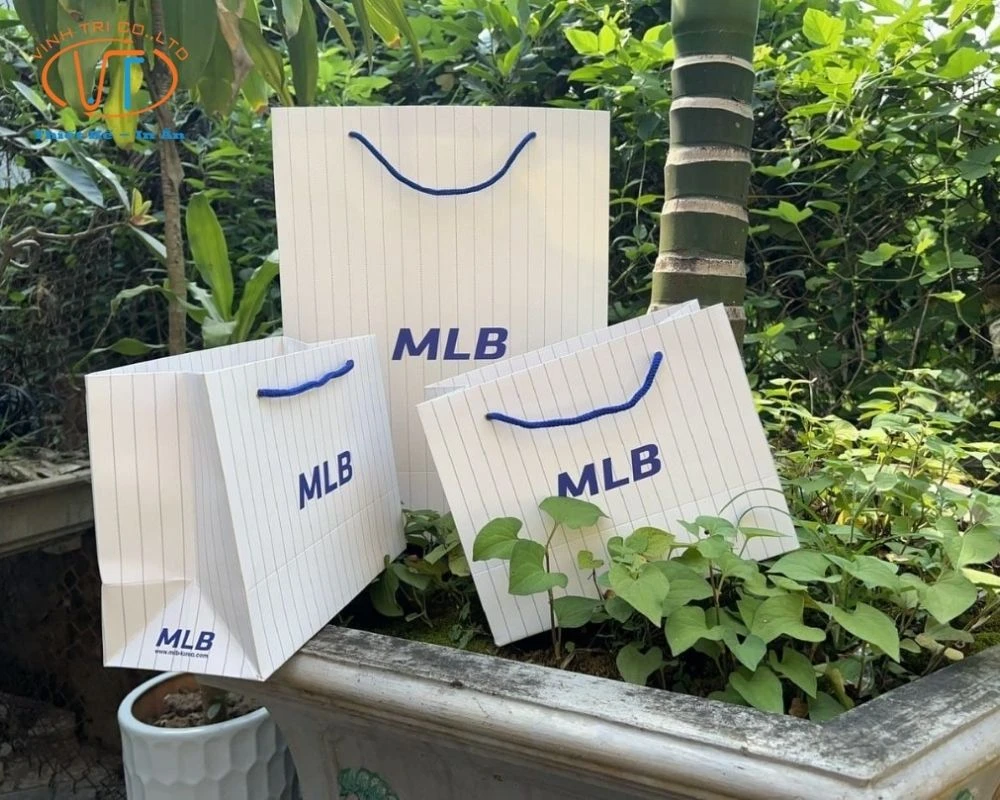 50+ Mẫu Túi Giấy In Logo Đẹp, Độc Đáo