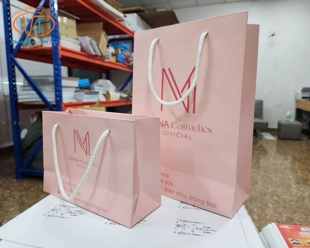 50+ Mẫu Túi Giấy In Logo Đẹp, Độc Đáo