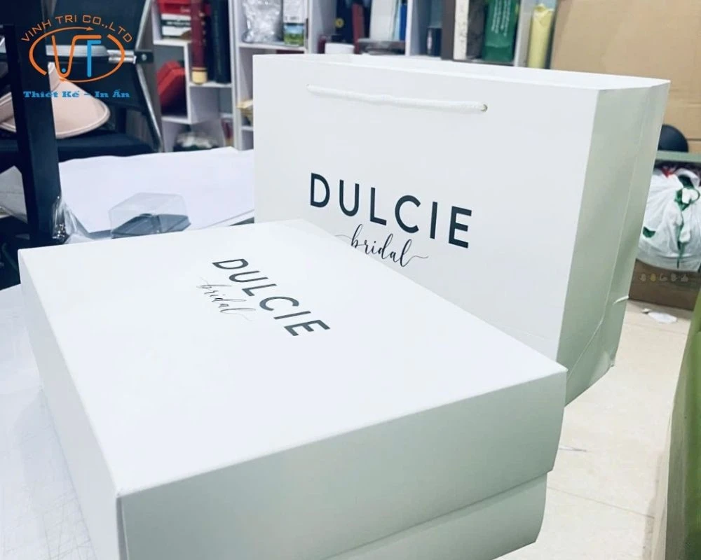 50+ Mẫu Túi Giấy In Logo Đẹp, Độc Đáo