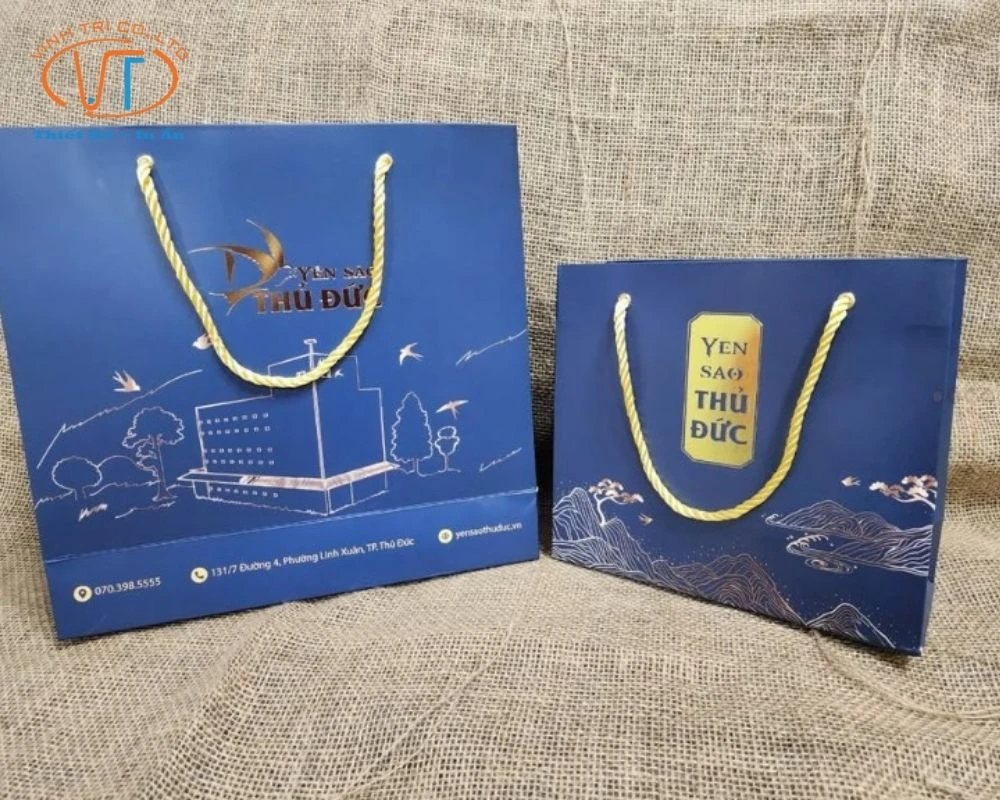 50+ Mẫu Túi Giấy In Logo Đẹp, Độc Đáo