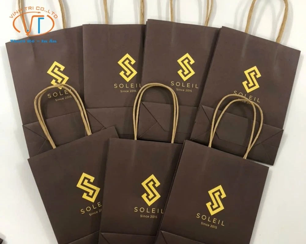 50+ Mẫu Túi Giấy In Logo Đẹp, Độc Đáo