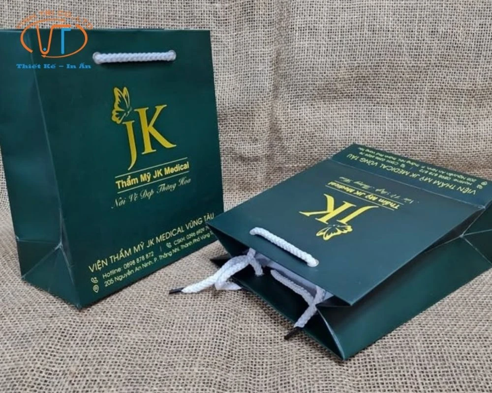 50+ Mẫu Túi Giấy In Logo Đẹp, Độc Đáo