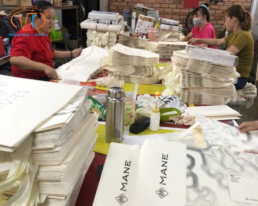 50+ Mẫu Túi Giấy In Logo Đẹp, Độc Đáo