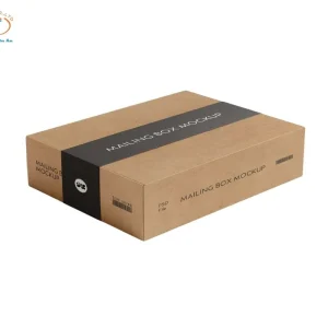 Hộp giấy bồi carton lạnh kraft