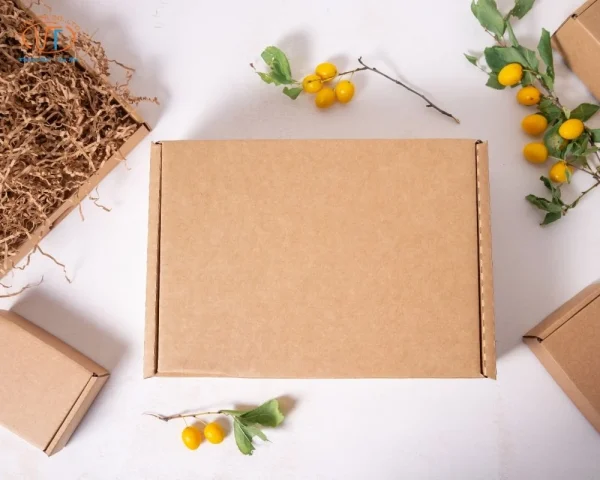 Mẫu hộp giấy kraft có tay cầm hình chữ nhật
