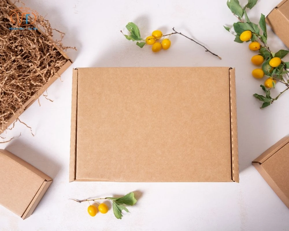 Mẫu hộp giấy kraft có tay cầm hình chữ nhật