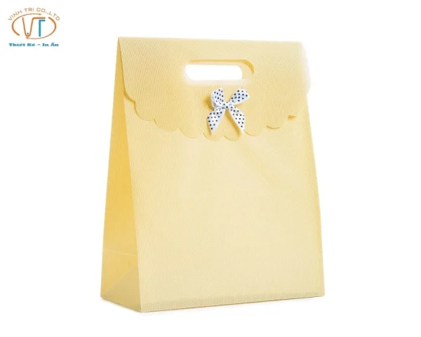 Mẫu túi giấy đựng quà có nắp
