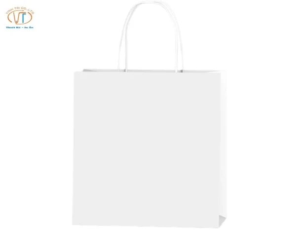 Túi giấy kraft trắng đứng