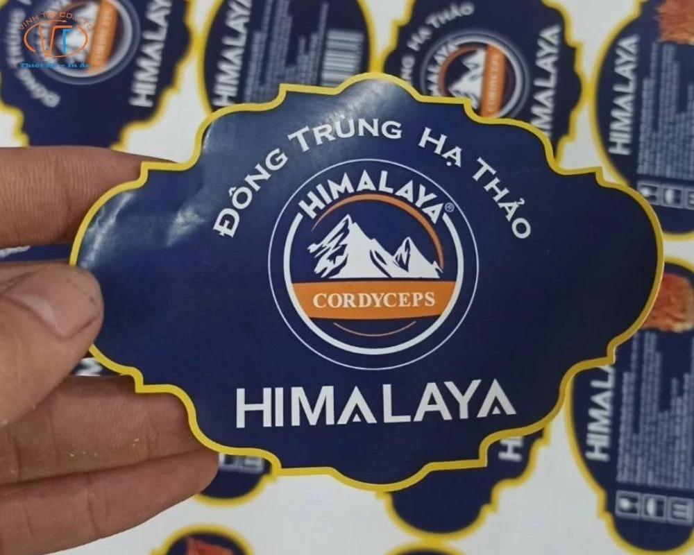 Tem dán Đông Trùng Hạ Thảo