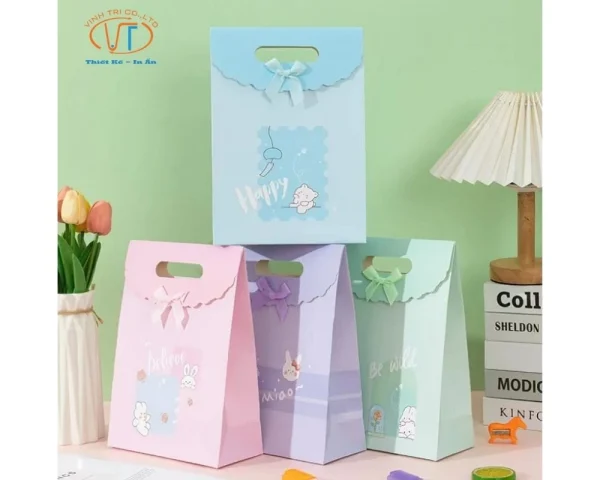 Mẫu túi nhỏ hình dạng bắt mắt dùng để đựng quà