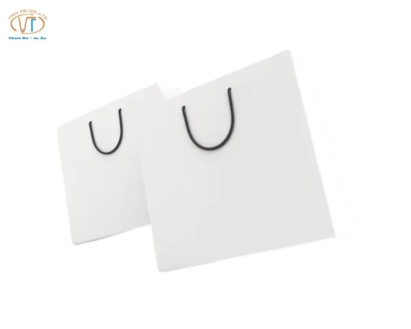 Túi giấy kraft có dây đen