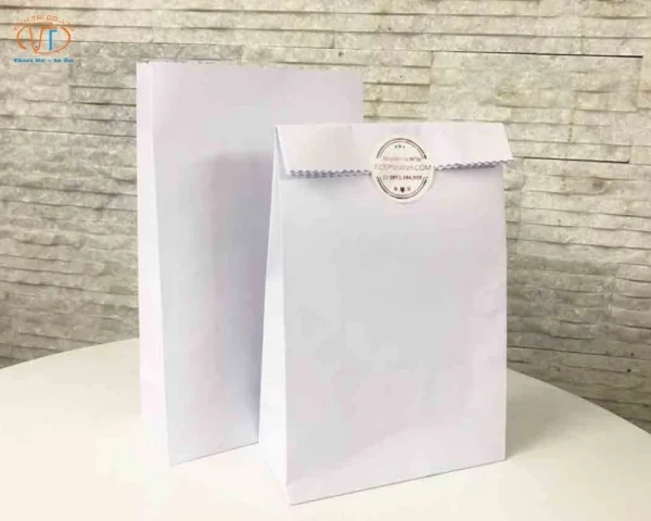 Mẫu túi giấy kraft trắng đơn giản
