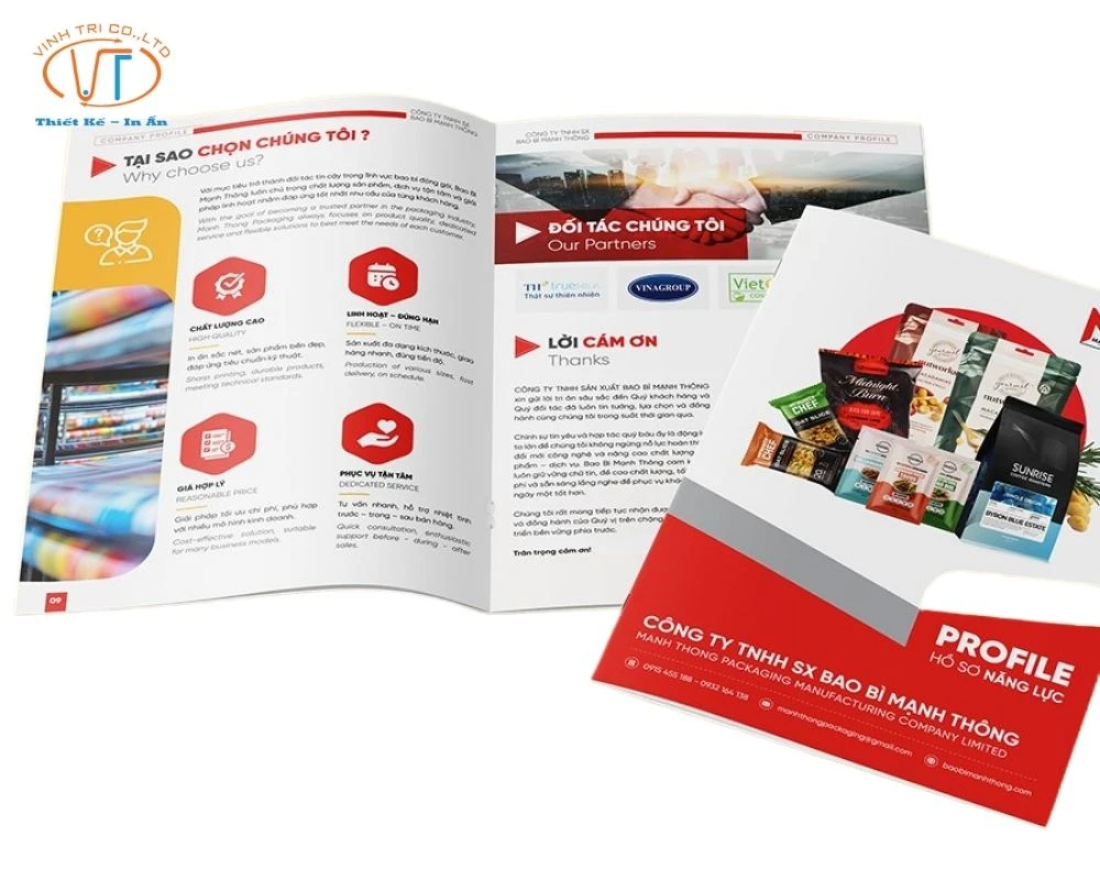 Mẫu catalogue công ty bao bì Việt Thông