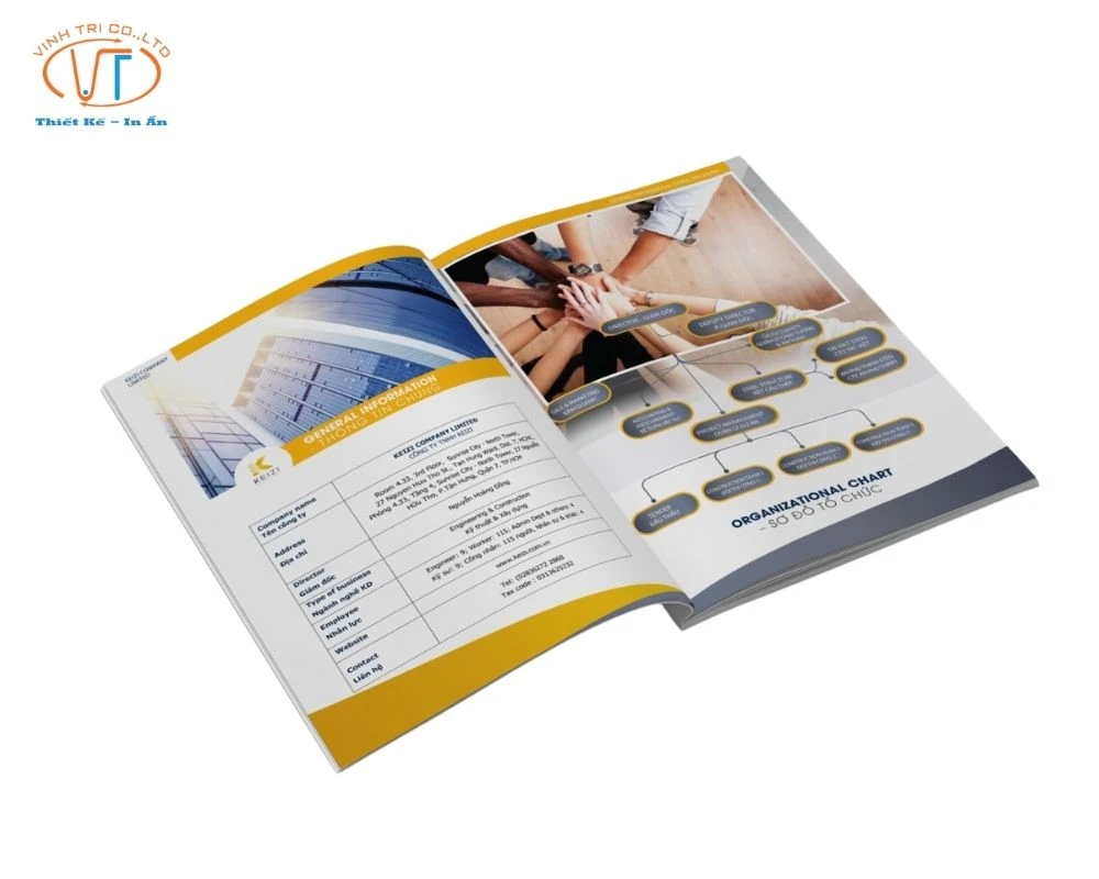 Mẫu catalogue thiết đẹp đẹp mắt, ấn tượng