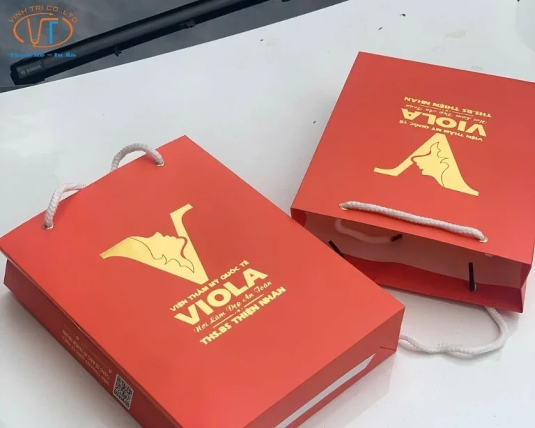 Túi Giấy Mỹ Thuật