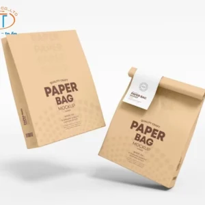 Mẫu túi giấy đựng thực phẩm nhỏ gọn