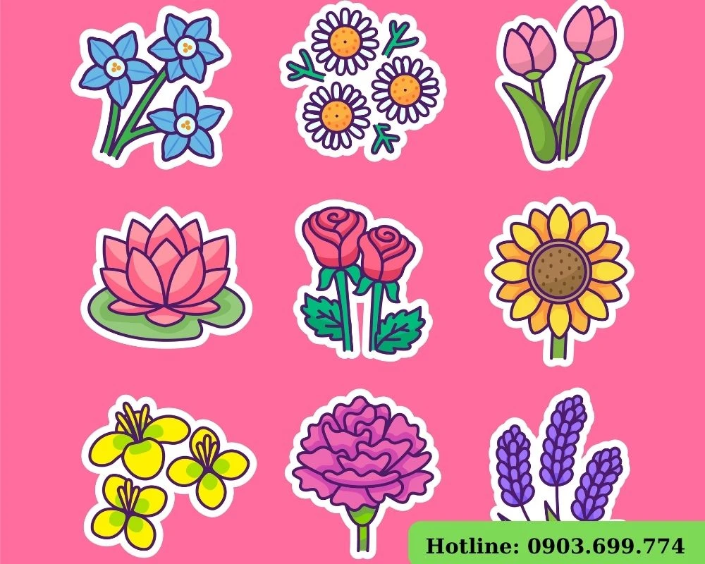Sticker hoa đủ màu sắc