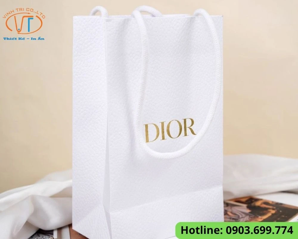 Túi giấy Dior dạng đứng