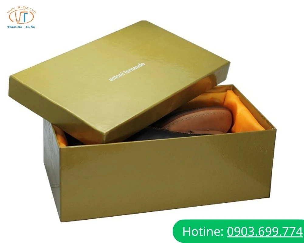Mẫu hộp đựng giày carton cao cấp có lót nhung