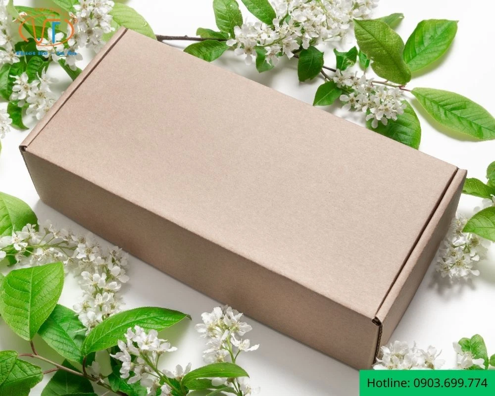 Mẫu hộp giấy chữ nhật dạng kraft