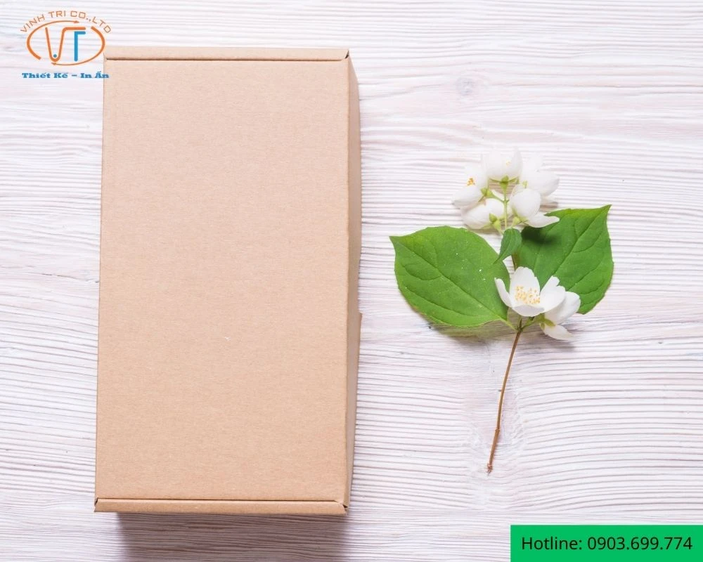 Mẫu hộp giấy kraft dạng hình chữ nhật