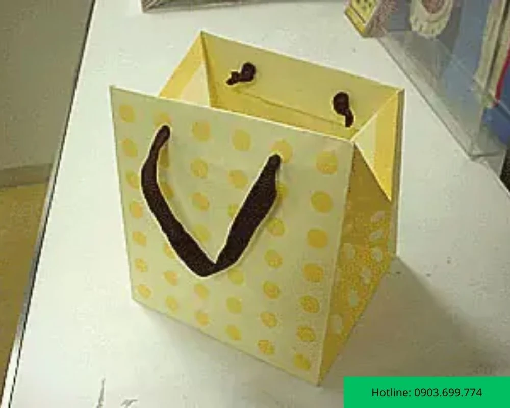 Mẫu túi giấy chấm bi