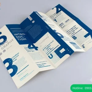 Mẫu tờ rơi thiết kế nhiều nếp gấp