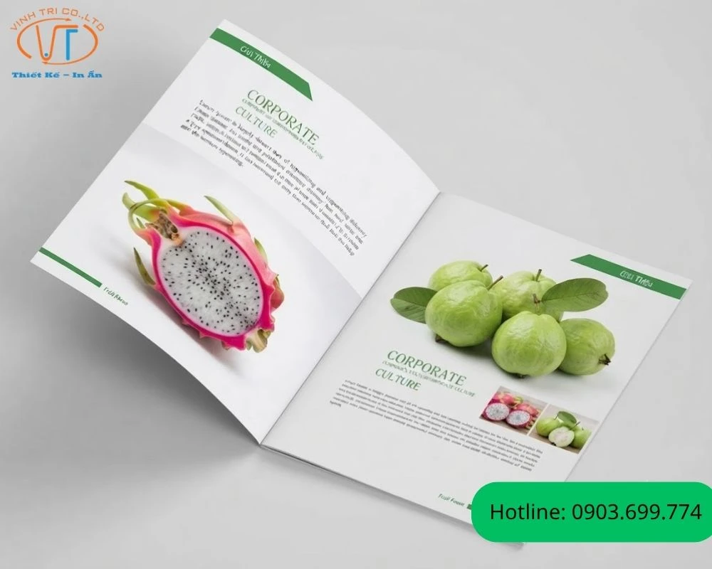 Brochur trái cây về trái thăng long và ổi
