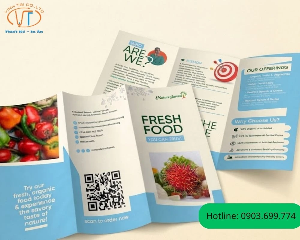 Brochure gấp 3 trái cây