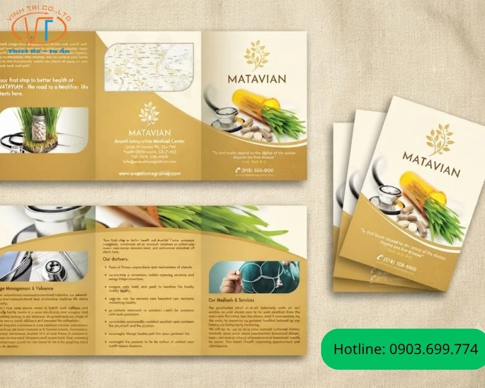 Brochure trái cây nổi bật với màu nâu nổi bật